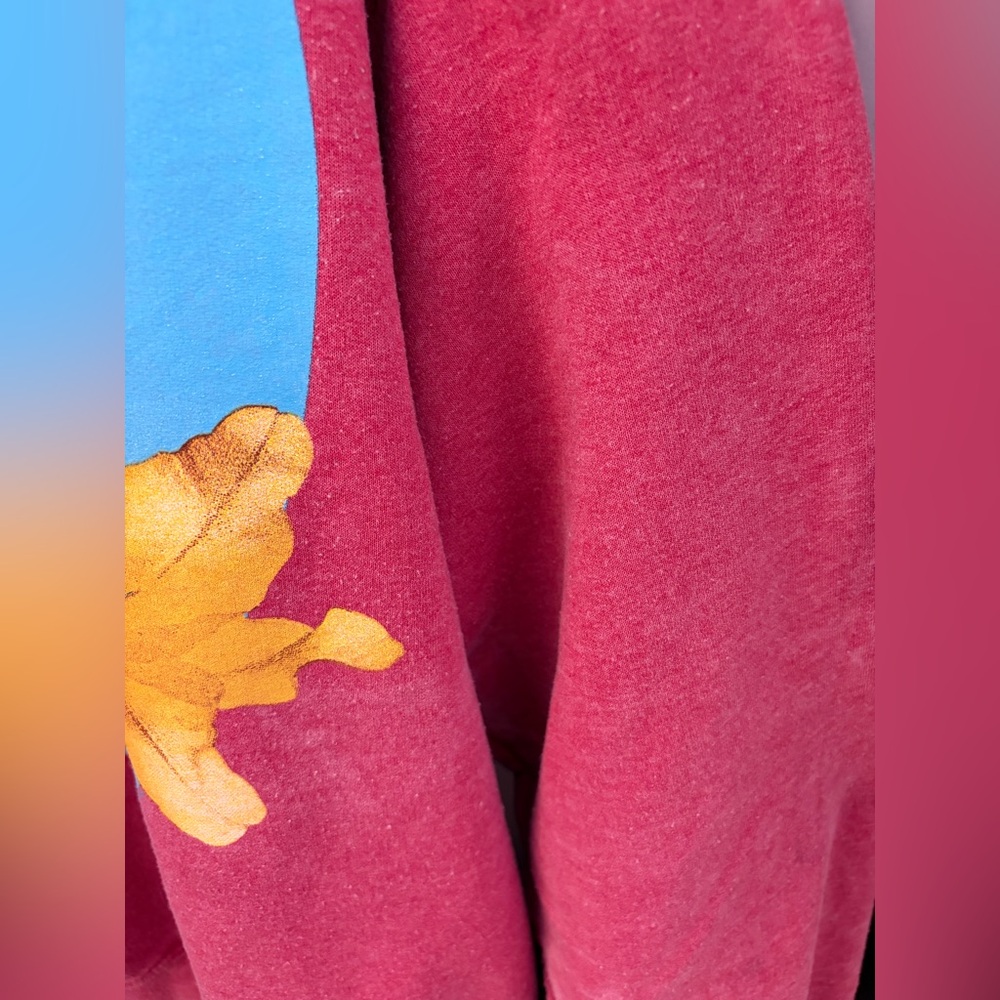 Nirvana "Heart Shaped Box" Crewneck Size XL - Picture 6 of 7